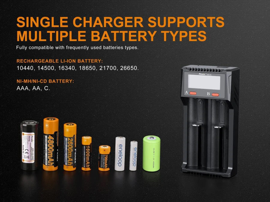 D2 Battery Charger - 2 slots