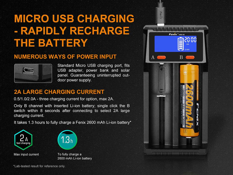 D2 Battery Charger - 2 slots