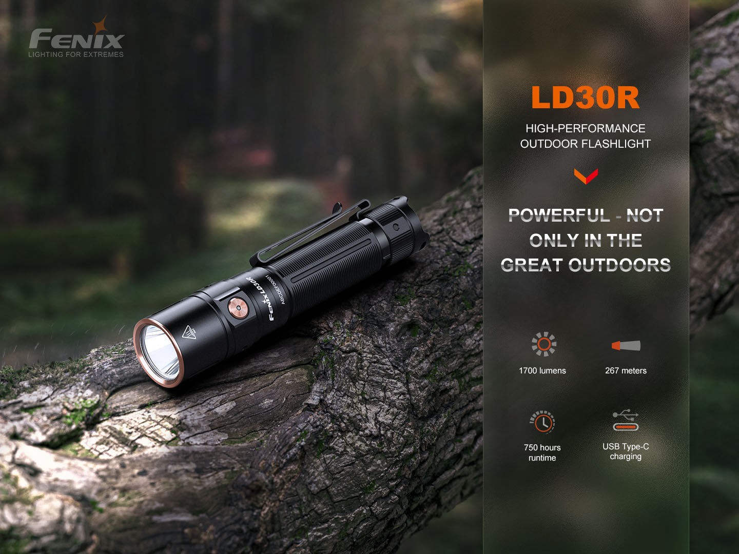 LD30R Torch (1700 lumens)